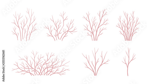 Photos Bare bush and tree branch vector silhouette set