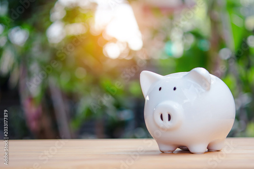 Cuadro en lienzo White piggy bank on wooden table with blurred garden background and warm sunligh