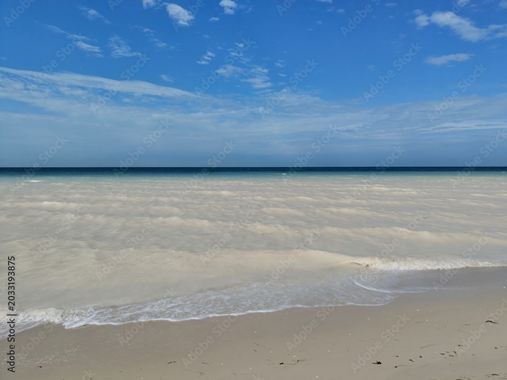 Fototapeta premium Beach and ocean landscape