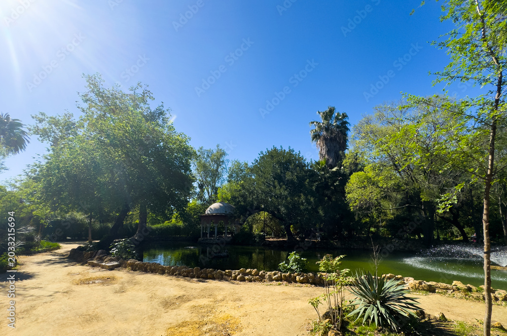 Fototapeta premium Landscape of Maria Luisa park in Seville, Spain