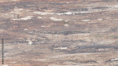 Fotografía Brown wooden texture background