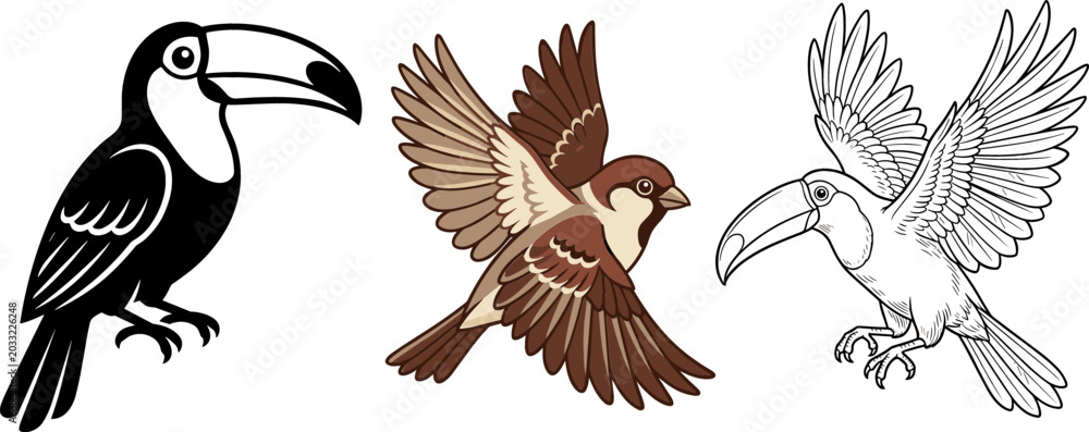 Obraz premium Bird Vector Graphic Set Featuring Silhouette Toucan Color Sparrow and Detailed Line Art Flying Toucan Isolated on White Background for Diverse Creative Media Designs