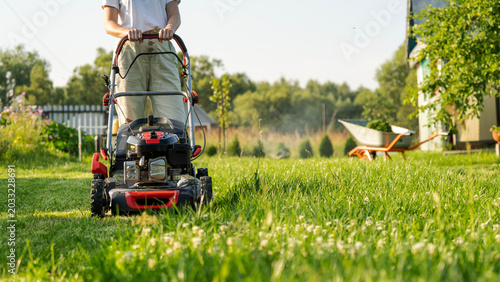 Sunlit garden with vibrant green grass