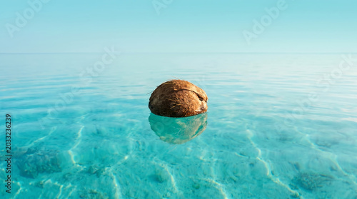 A single brown coconut floats peacefully on the surface of crystal clear turquoise ocean water under a bright blue sky, reflecting gently.