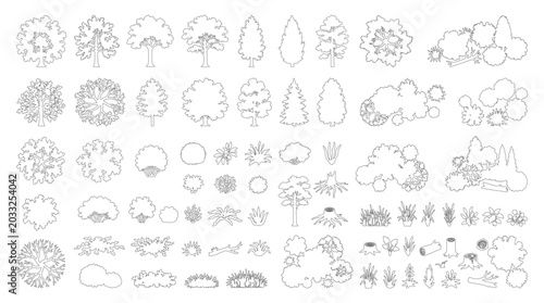 Foto CAD landscape plants line drawing set, top view and side view trees shrubs grass