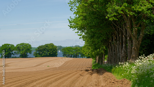 Landschaft an der Schlei