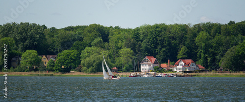 Segeln auf der Schlei