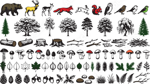 Photography Forest elements vector illustration featuring diverse wild animals various decid