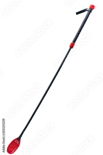 Φωτογραφία designer whip