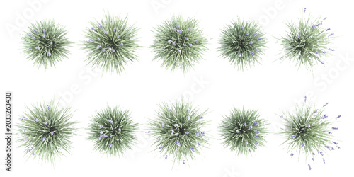 Fotografía Set of ten abstract starburst and explosion elements with sharp lines and scatte