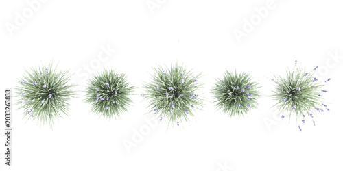 Quadro su tela Set of five abstract starburst shapes with motion lines and explosive energy ele