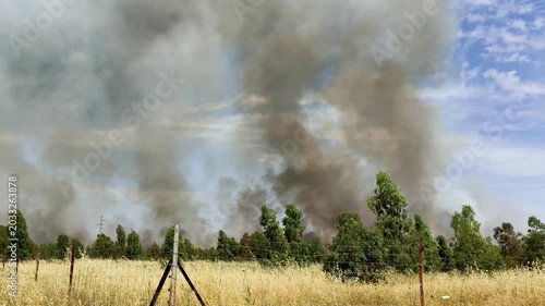 Gran columna de humo en incendio forestal activo