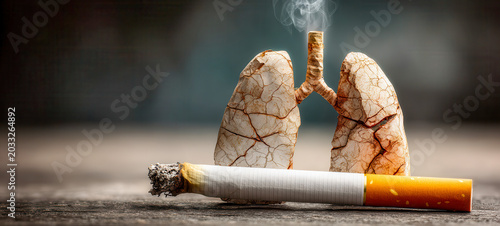 Lungs made of cracked clay stand next to a used cigarette on a wooden surface in a setting about health and smoking