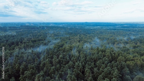 Εκτύπωση καμβά Fly over a lush green forest canopy with drifting mist in a dense, untouched woodland area during summer