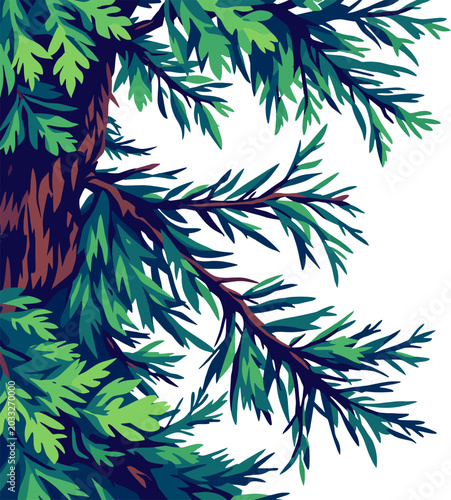 Pine tree branch with green needles, detailed botanical illustration of evergreen forest plant, natural woodland design element