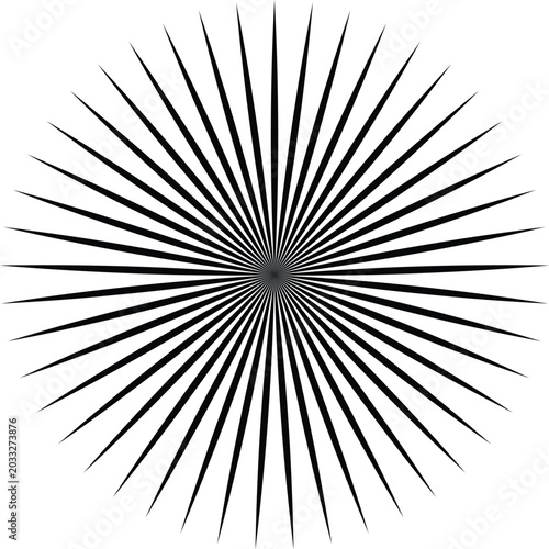 Canvas Print Black radial lines emanating from a central point forming a circular