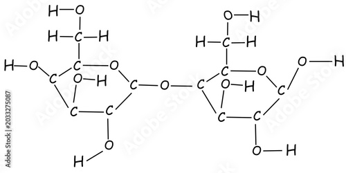 Photos drawing of a lactose molecule