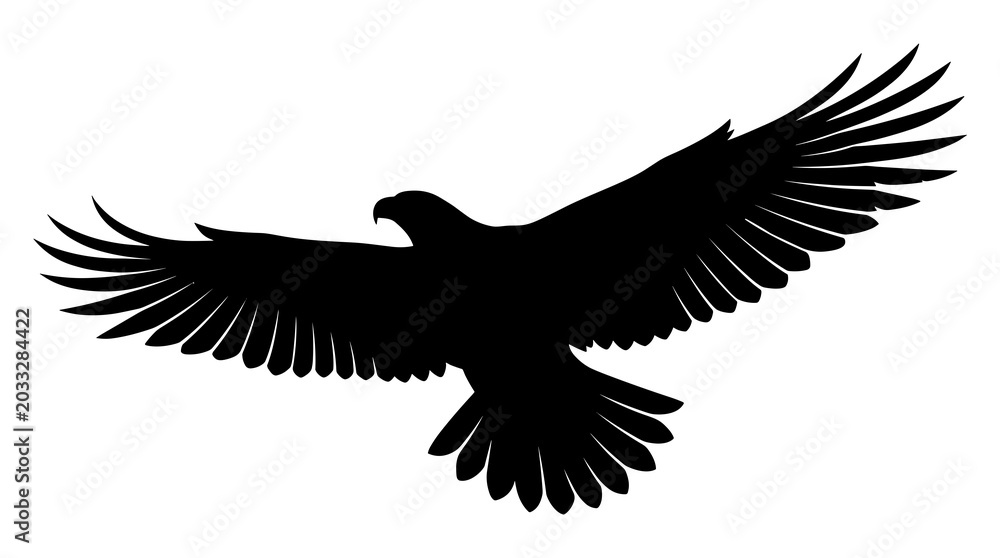 Fototapeta premium Silhouette of a majestic eagle in flight with wings spread wide against a white background