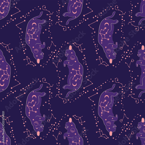 Mystical seamless pattern of cats in boho style, silhouette collection. Esotericism and mysticism, occultism. Cartoon flat vector illustrations, isolated