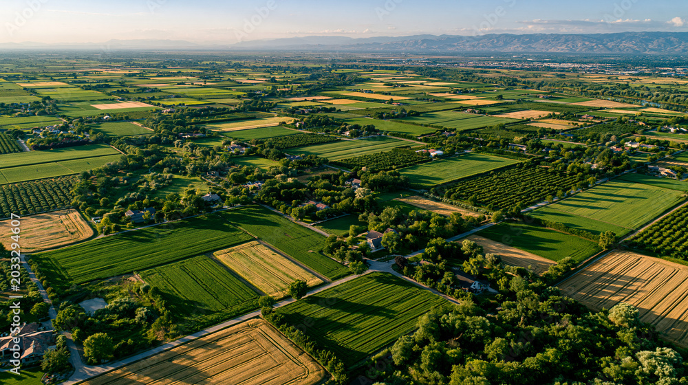 Fototapeta premium Vast green fields and orchards in a rural landscape at sunset