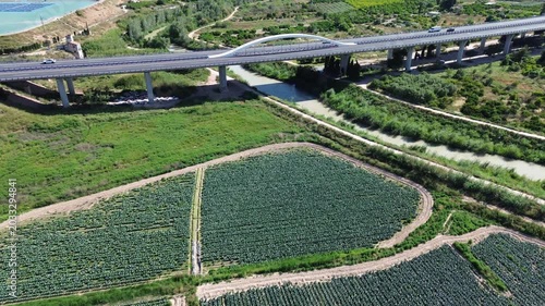 Aerial view of a modern concrete highway bridge crossing over lush green agricultural crop fields and a river highlighting the environmental impact of logistics and urban development on nature rural