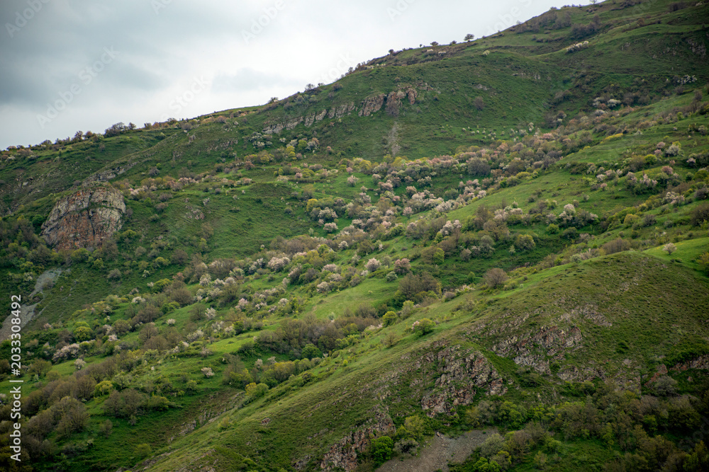 Fototapeta premium landscape in the mountains of crimea