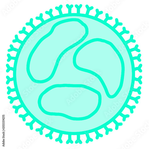 Hantavirus structure illustration, orthohantavirus particle graphics for medical education biology textbook and microbiology diagram