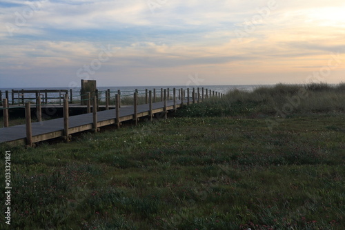 A wooden walkway over a grassy area
