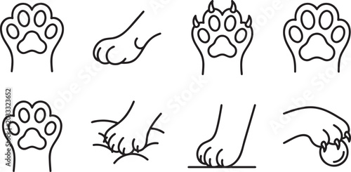 Photography Detailed anatomical cat paw prints and leg movement studies