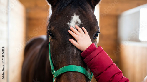 Child's hand touching horse creating animal bond