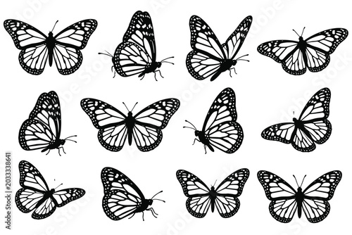 Collection of monarch butterfly silhouettes in various poses and angles