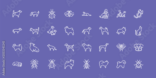 Bild auf Leinwand dog breeds fullbody outline icon set featuring jack russel terrier, pollen beetle, springer spaniel, null icons
