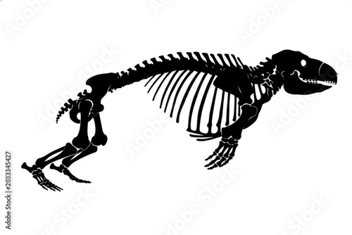 Tableau sur toile Fossil of a Marine Mammal Skeleton: An artistic black and white illustration of a complete fossilized skeleton of an ancient marine mammal, possibly a cetacean ancestor