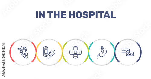 Bild auf Leinwand in the hospital outline icon set featuring heart organ, sticking plaster, bandage cross, esophagus icons