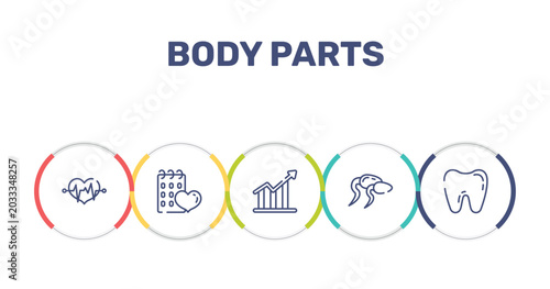 Fotografija body parts outline icon set featuring lifeline in a heart, null, increasing bargraph, sperms icons