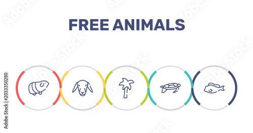 Fotografie free animals outline icon set featuring guinea pig heag, female sheep head, plain palm tree, swimming turtle icons