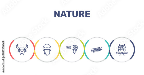 Foto nature outline icon set featuring buffalo, platypus, hair dryer, centipede icons