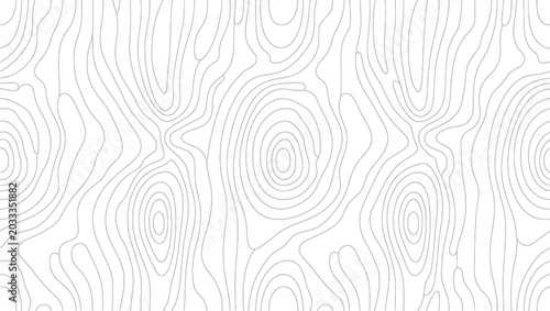 Konstfotografi Abstract linear pattern resembling wood grain or topographic map contours