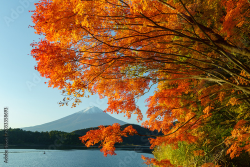 Stunning autumn morning reflection of Mount Fuji with red maple leaves on the peaceful surface of Lake Kawaguchi, Japan.