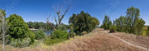 Panoramic view of a dirt trail on the Sacramento River levee