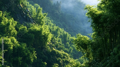 Misty Bamboo Forest: Lush bamboo groves blanket a steep mountainside, shrouded in a gentle morning mist, creating an atmosphere of serene natural beauty and tranquility.