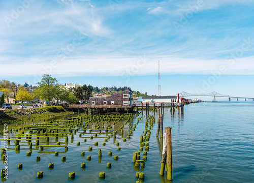 Moss-Covered Historic Cannery Pilings in the Columbia River at Astoria