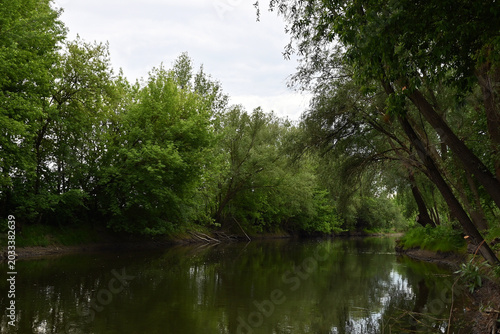 Calm river flowing through a lush green forest with beautiful water reflections
