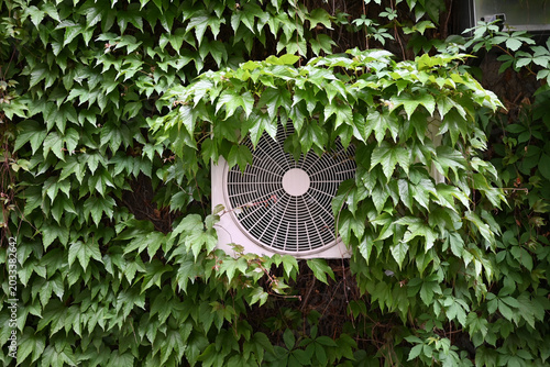 Air conditioner outdoor unit covered by thick green ivy leaves on a building wall
