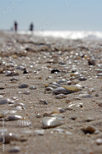 water drops on the sand