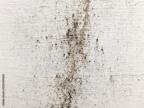 Foto Dirty white concrete wall texture with mold and damp patches caused by water damage and high humidity