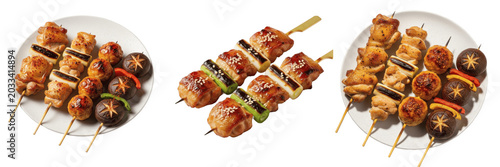 Bild auf Leinwand Yakitori skewered chicken meat specimen displaying structural culinary parameters, organic material chemical components, processing features within standard food science reference archive data