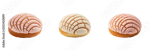 Tableau sur toile Concha baked bread pastry food specimen displaying structural culinary parameter