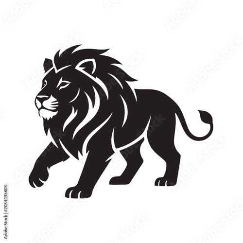 lion vector illustration