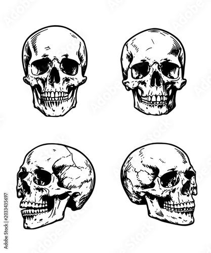 skull and crossbones vector icon